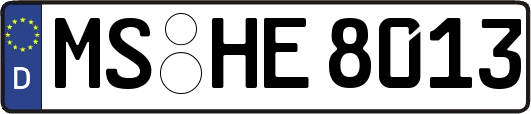 MS-HE8013