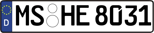 MS-HE8031
