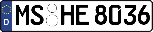 MS-HE8036