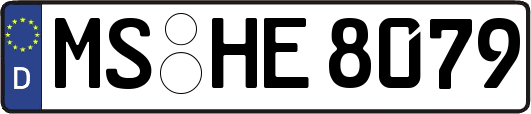 MS-HE8079