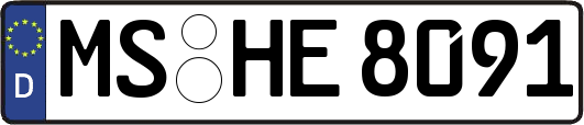 MS-HE8091