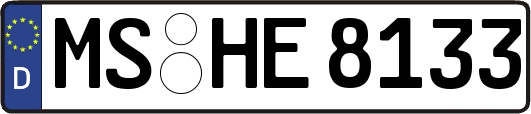 MS-HE8133