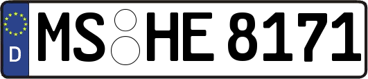 MS-HE8171