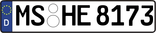 MS-HE8173