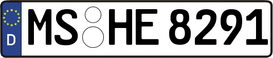 MS-HE8291