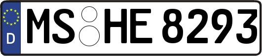 MS-HE8293