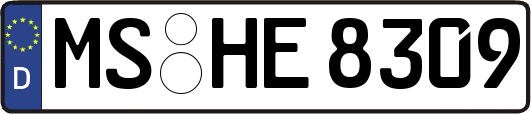 MS-HE8309