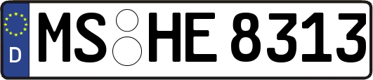 MS-HE8313