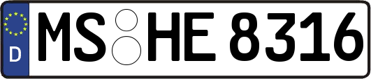 MS-HE8316