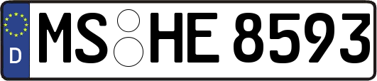 MS-HE8593