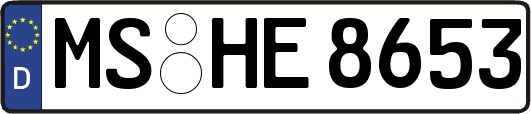 MS-HE8653