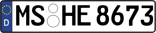 MS-HE8673