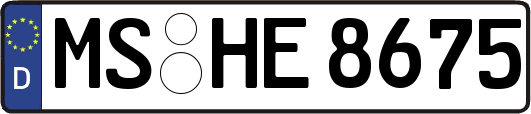 MS-HE8675