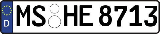 MS-HE8713
