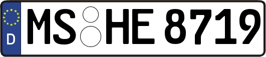 MS-HE8719