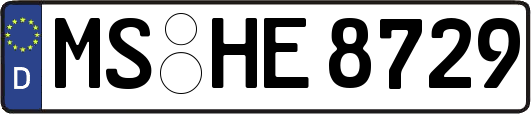 MS-HE8729