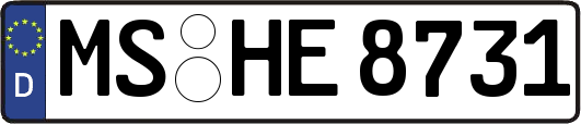 MS-HE8731
