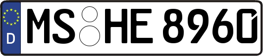 MS-HE8960