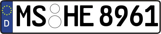 MS-HE8961