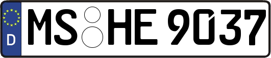 MS-HE9037