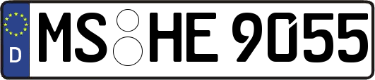 MS-HE9055