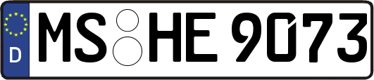 MS-HE9073