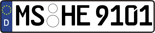 MS-HE9101