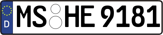 MS-HE9181