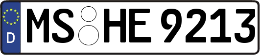 MS-HE9213