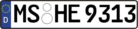 MS-HE9313