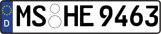 MS-HE9463