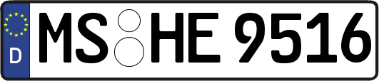 MS-HE9516