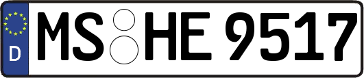 MS-HE9517