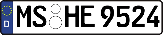 MS-HE9524