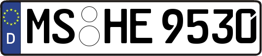 MS-HE9530