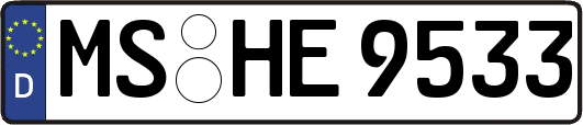 MS-HE9533