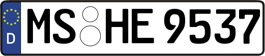MS-HE9537