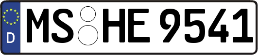 MS-HE9541