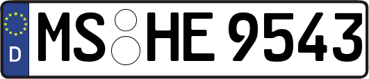 MS-HE9543