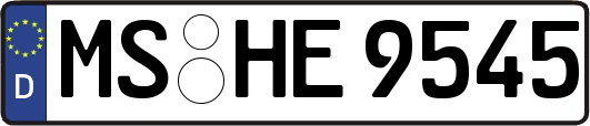MS-HE9545