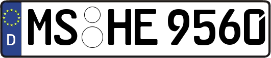 MS-HE9560