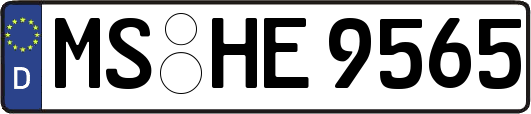 MS-HE9565