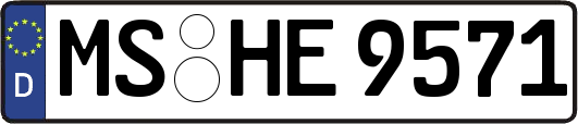 MS-HE9571