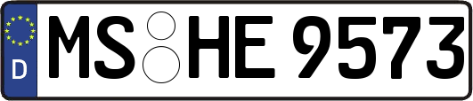 MS-HE9573