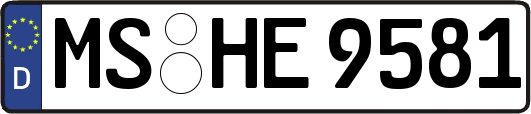 MS-HE9581
