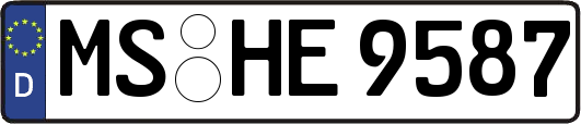 MS-HE9587