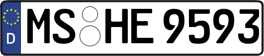 MS-HE9593