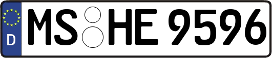 MS-HE9596
