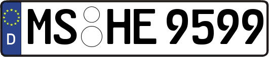 MS-HE9599