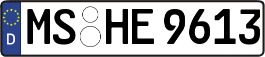 MS-HE9613